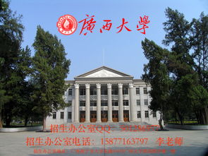 中职电子商务专业考大专