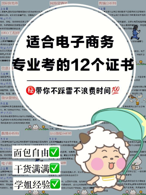 电子商务专业要考的