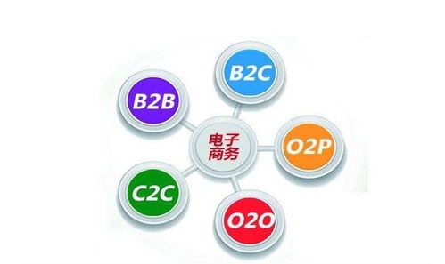 电子商务专业是开发吗