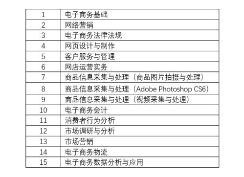 电子商务的专业调研计划