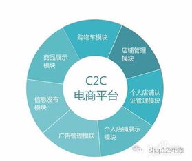 电子商务师什么专业类别