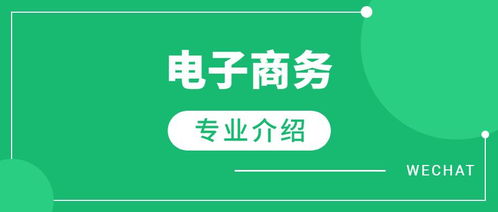 电子商务专业的大类是啥