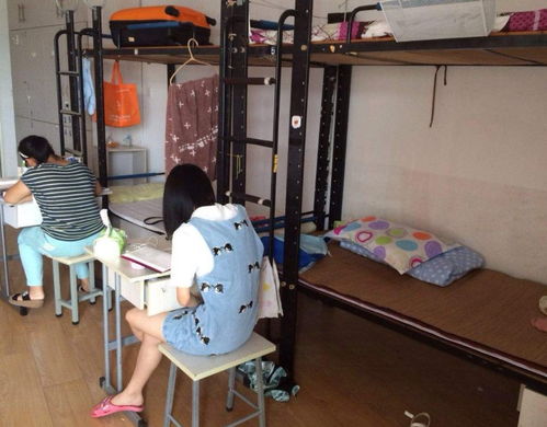 学校回应宿舍墙皮脱落床生锈没风扇