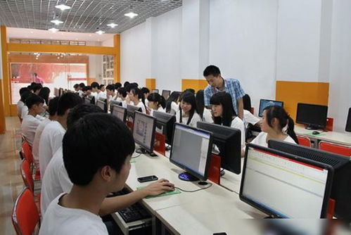 电子商务专业大专生就业