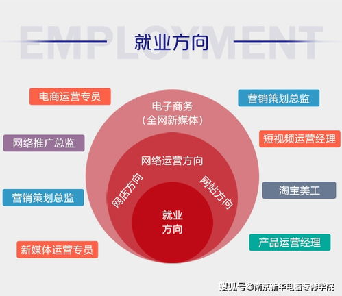 电子商务专业能干什么啊